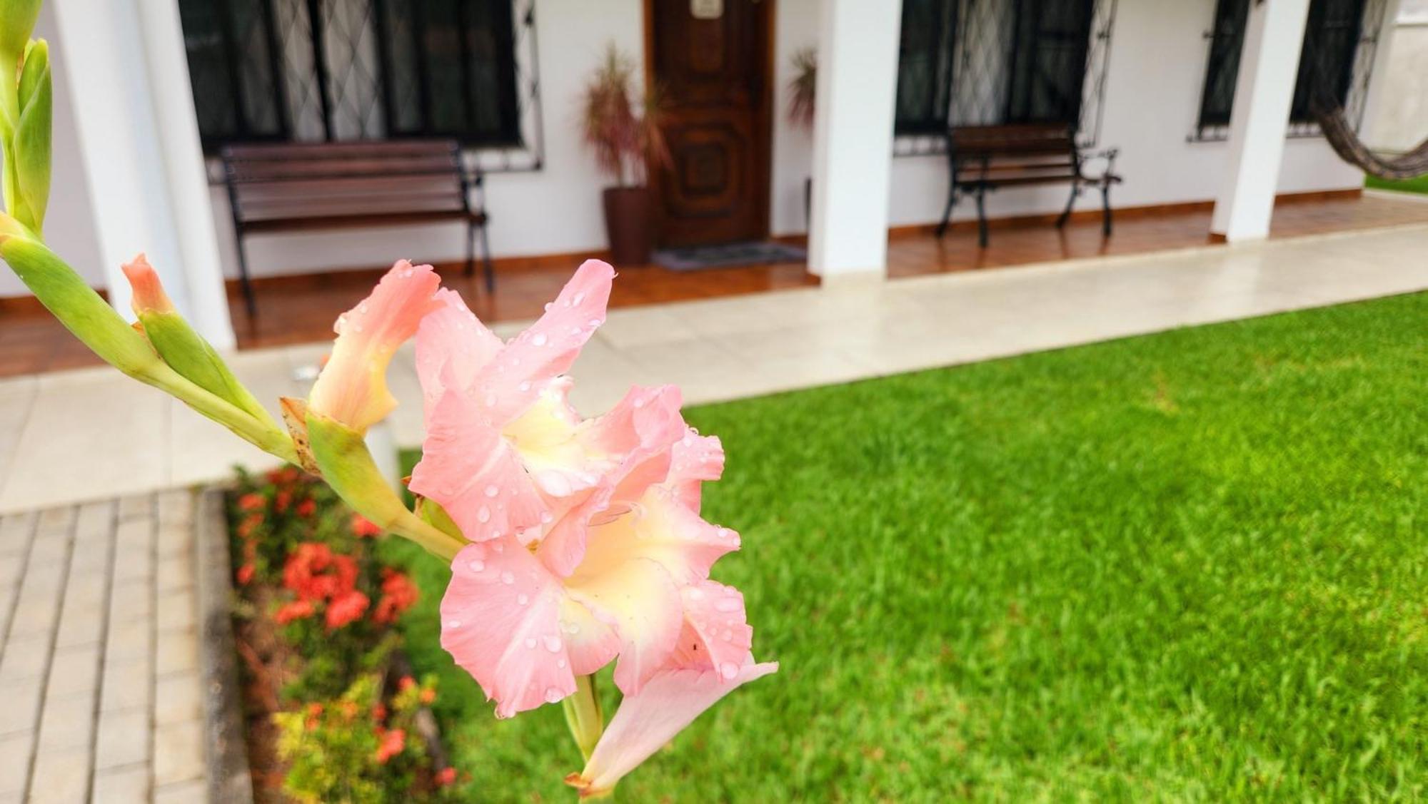 Apartamento Casa Hoffmann Pomerode Exterior foto